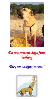 do not prevent your dog