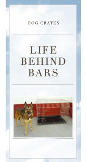 life behind bars